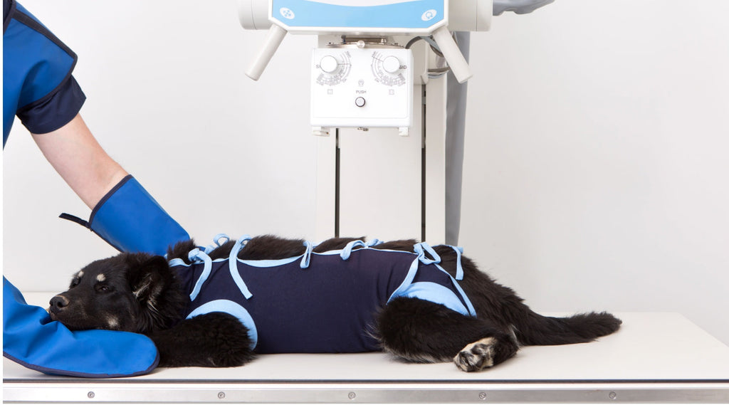 Radiation Shielding Requirements for Dental and Veterinary Practices